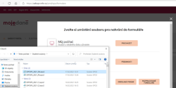 Načtení souboru na Daňový portál Načtení souboru na Daňový portál